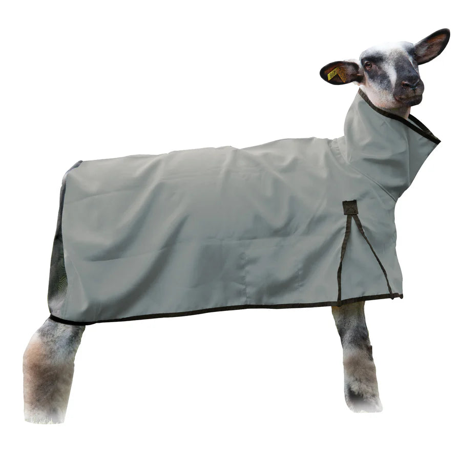 Weaver Livestock Nylon Sheep Blanket Mesh Butt