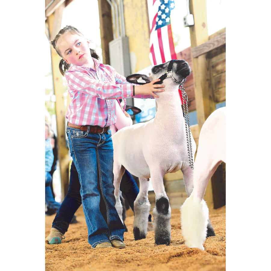 Weaver Livestock Nylon Adjustable Sheep Halter with Chain Lead