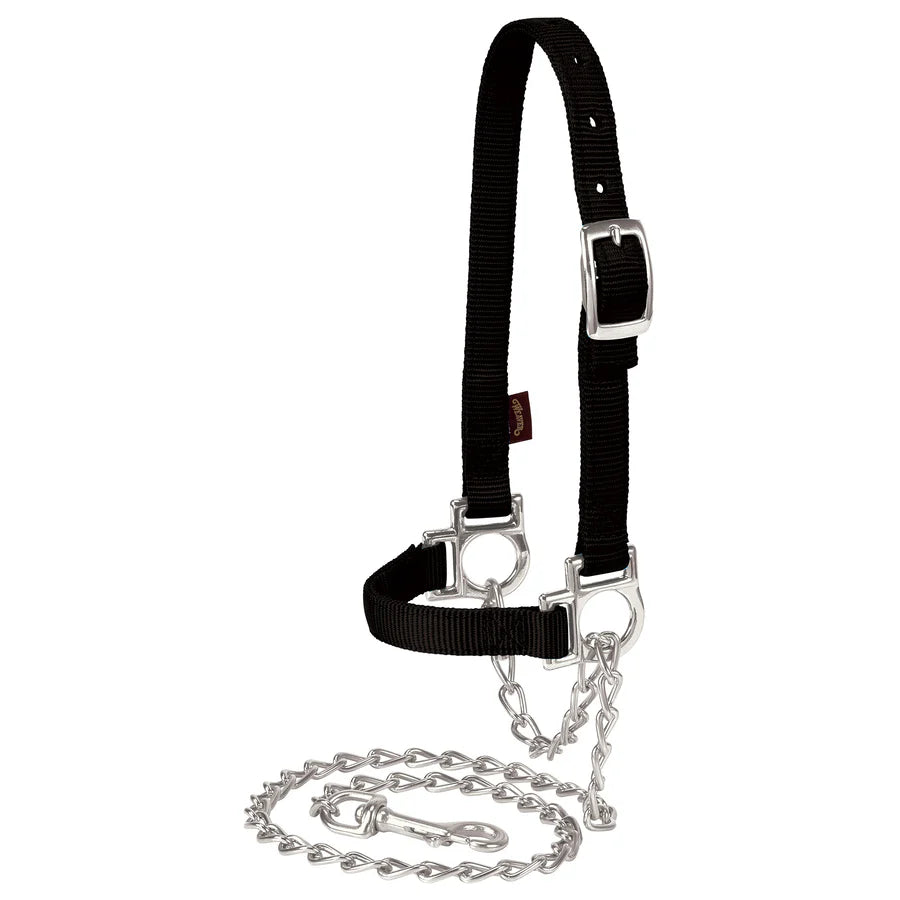 Weaver Livestock Nylon Adjustable Sheep Halter with Chain Lead