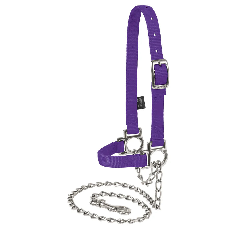 Weaver Livestock Nylon Adjustable Sheep Halter with Chain Lead