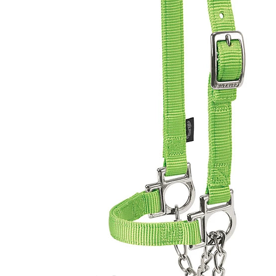 Weaver Livestock Nylon Adjustable Sheep Halter with Chain Lead
