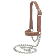 Weaver Livestock Sheep and Goat Brahma Webb Halters