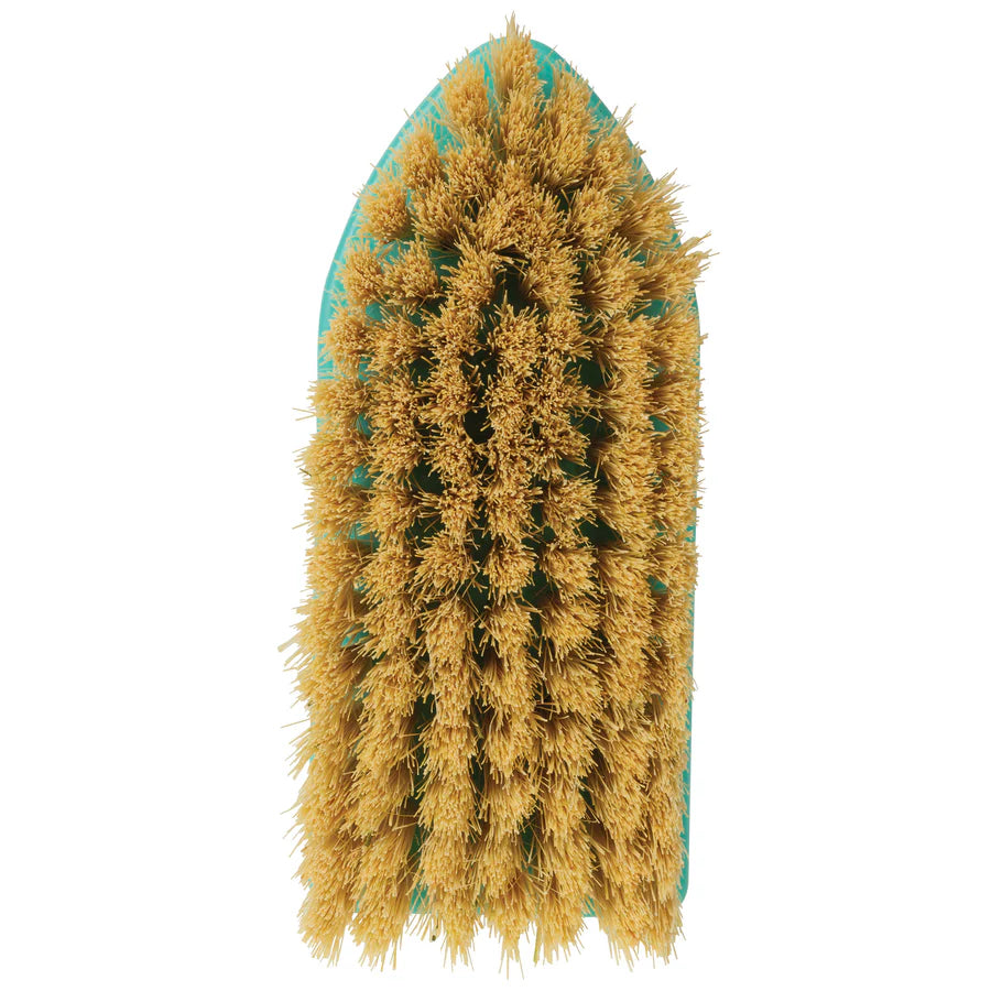 Weaver Livestock Plastic Tampico Pig Brush with Handle