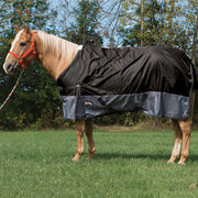 Weaver Equine Premium Turnout Blanket, 600-denier