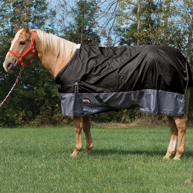 Weaver Equine Premium Turnout Blanket, 600-denier