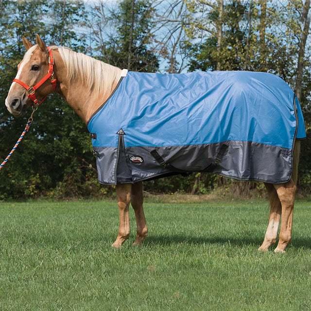 Weaver Equine Premium Turnout Blanket, 600-denier