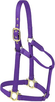Valhoma Horse Halter