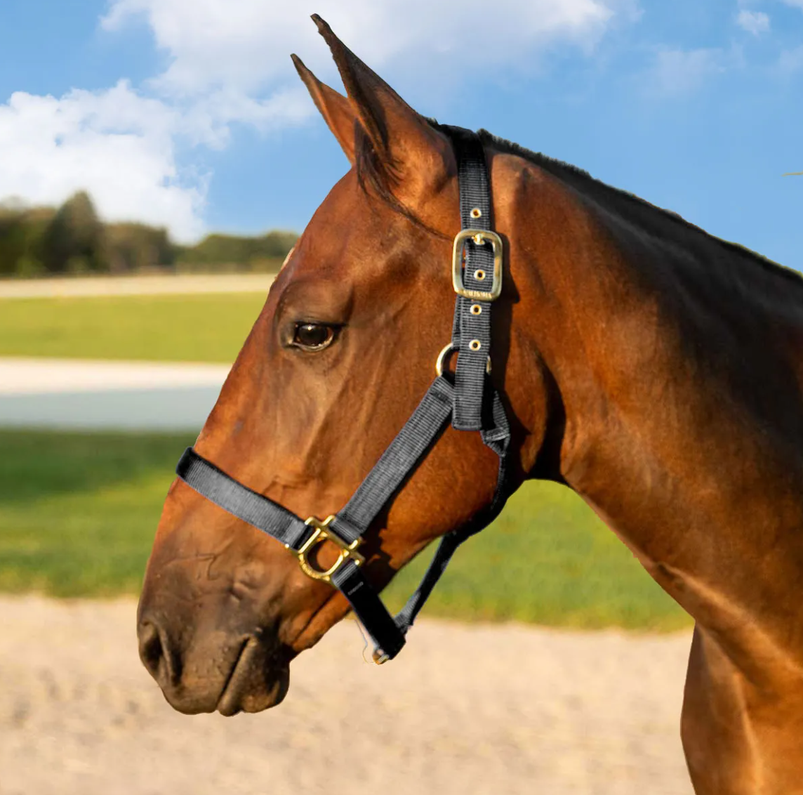 Valhoma Horse Halter