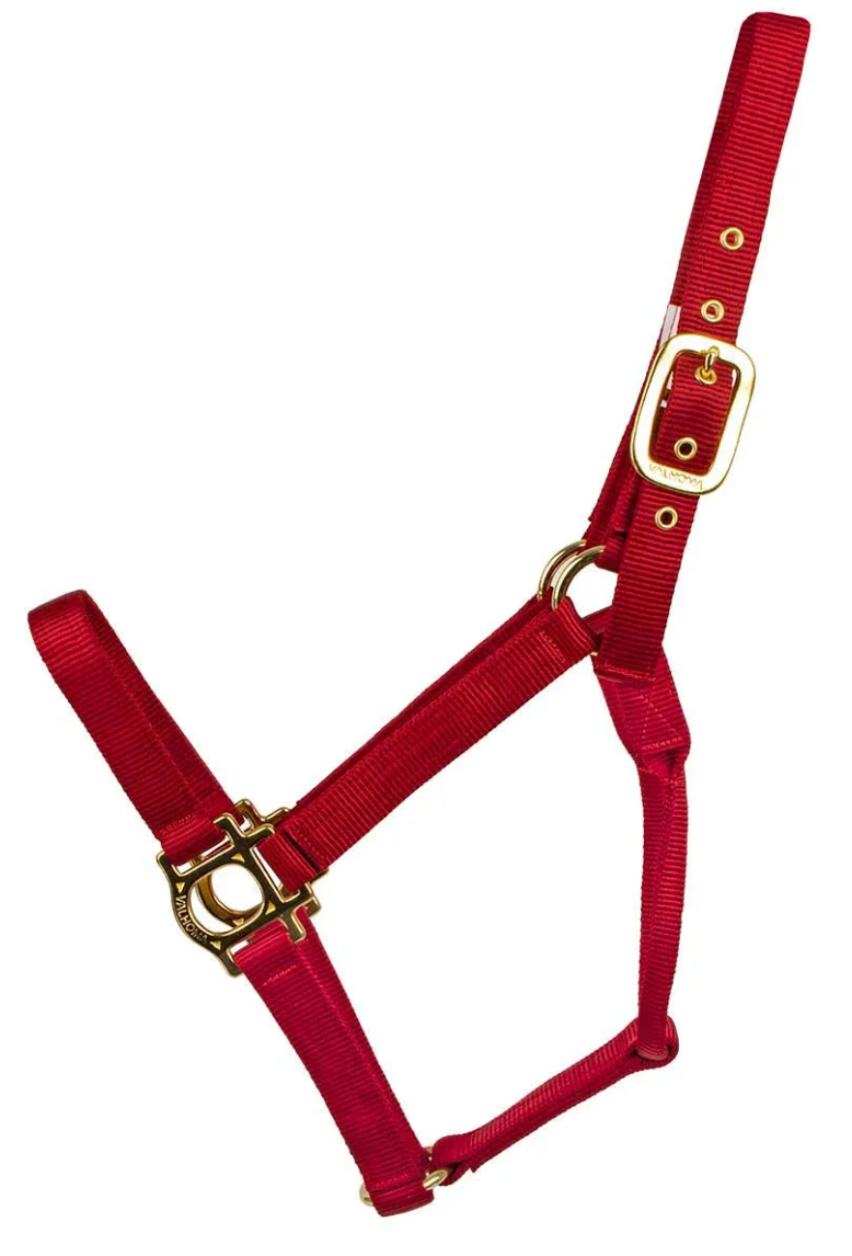Valhoma Horse Halter