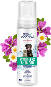 Naturel Promise Fresh & Soothing Natural Waterless Foaming Dog Shampoo, 11 fl oz bottle