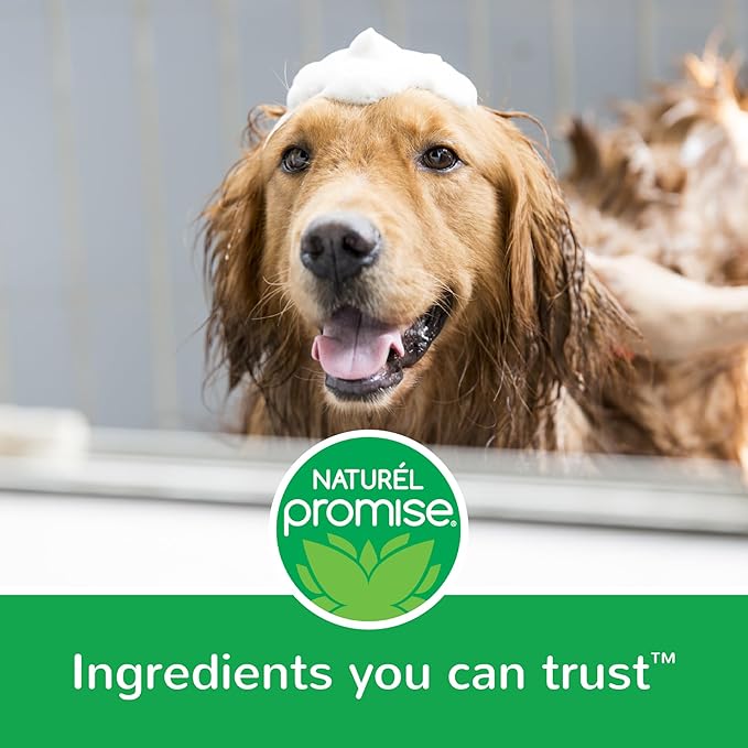 Naturel Promise Fresh & Soothing Natural Waterless Foaming Dog Shampoo, 11 fl oz bottle