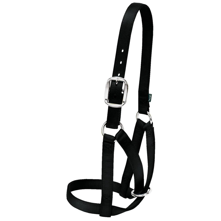 Weaver Livestock Barn Cow Halter
