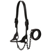 Weaver Livestock Leather Cattle Black Magic Show Halter