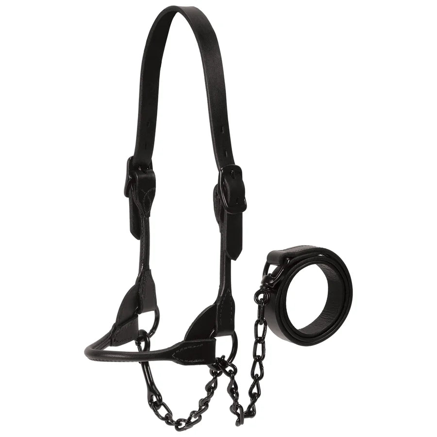 Weaver Livestock Leather Cattle Black Magic Show Halter