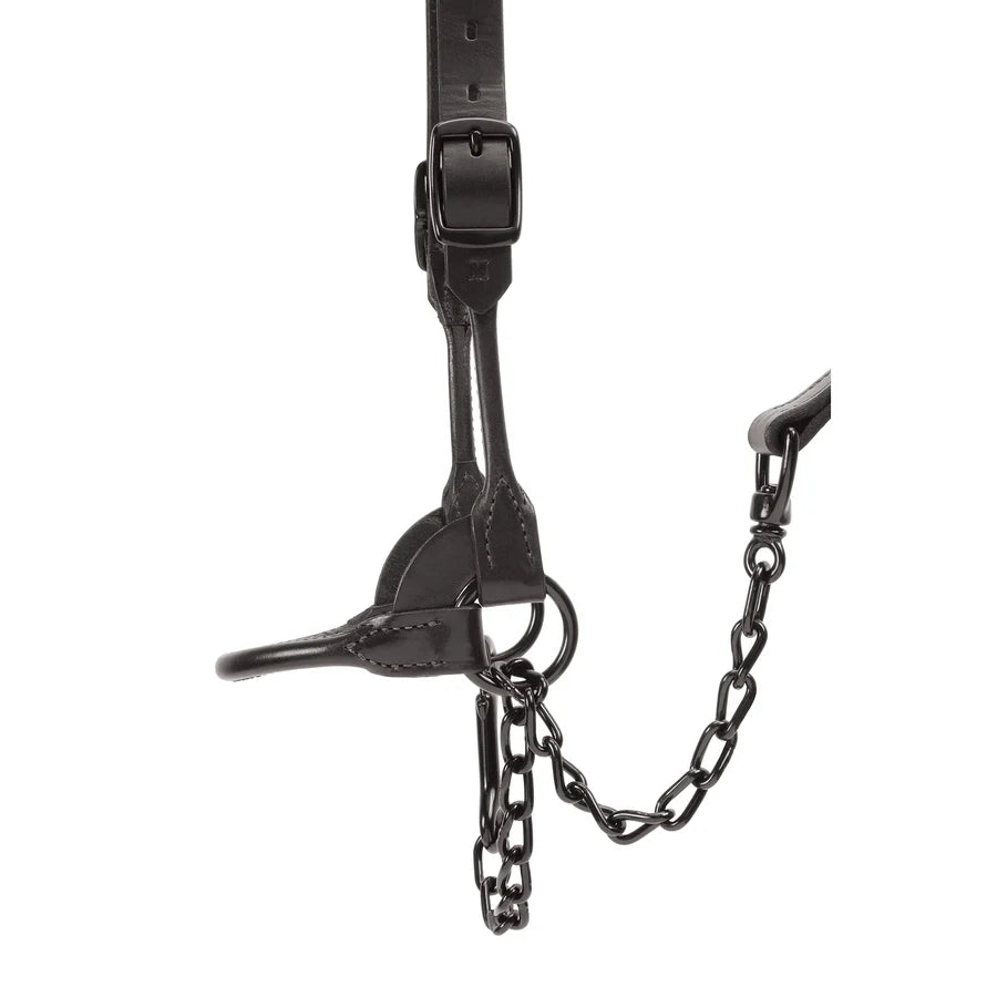 Weaver Livestock Leather Cattle Black Magic Show Halter