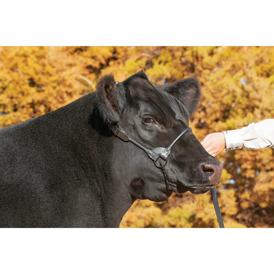 Weaver Livestock Leather Cattle Black Magic Show Halter