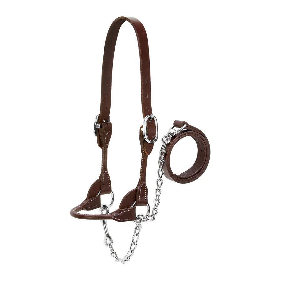 Weaver Livestock Leather Cattle Rounded Show Halter