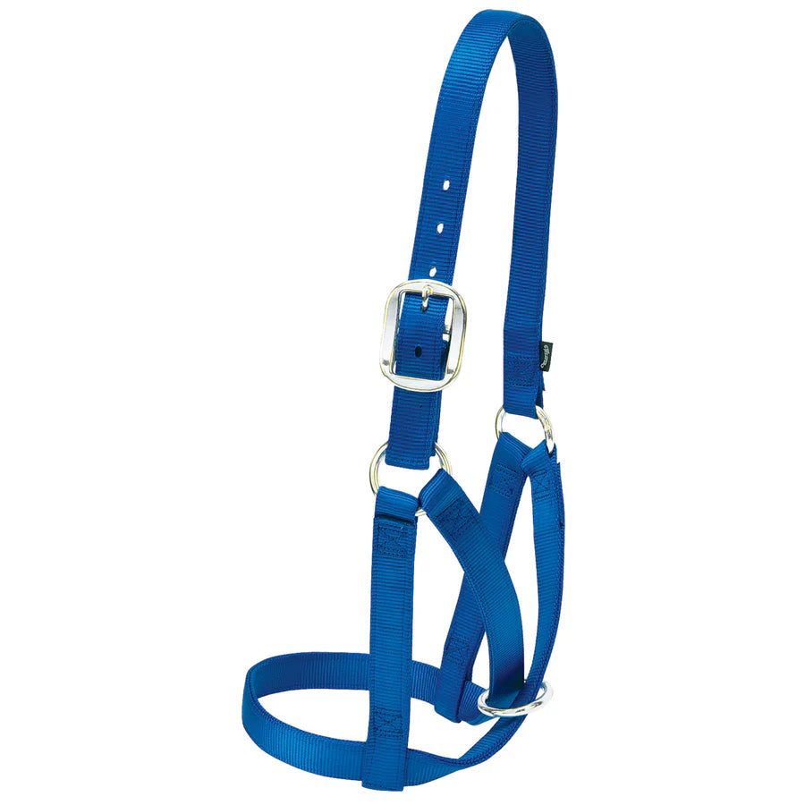 Weaver Livestock Barn Cow Halter