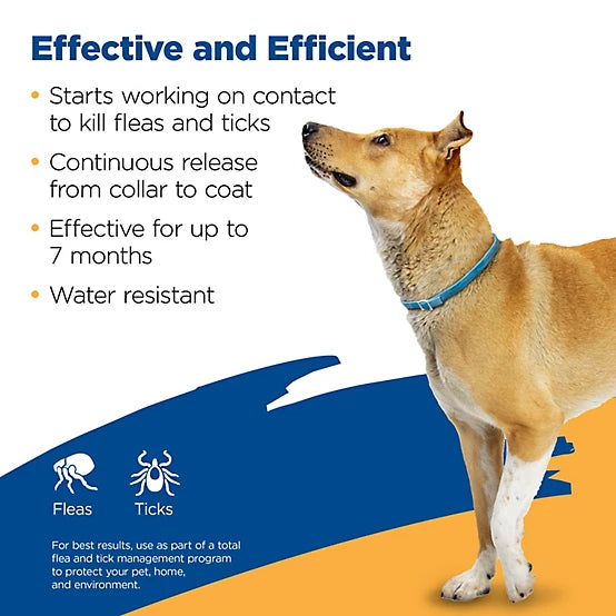 Zodiac Flea and Tick Collar for Large Dogs and Puppies, 7 Months Protection