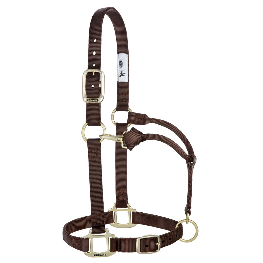 Weaver Equine Horse Halter