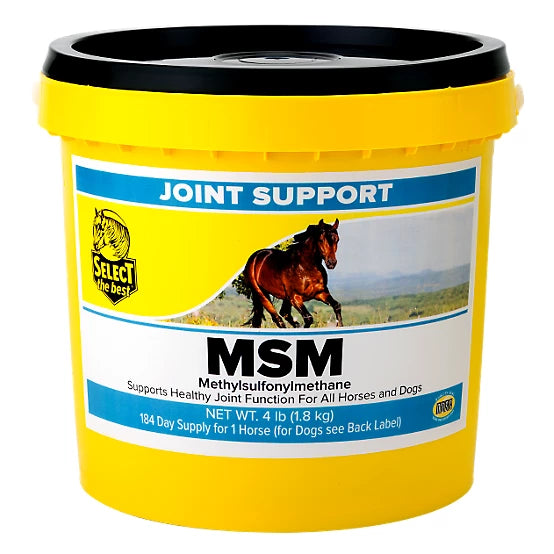 Select The Best Richdel MSM Anti-Inflammatory Horse Supplement Powder, 4 lb.