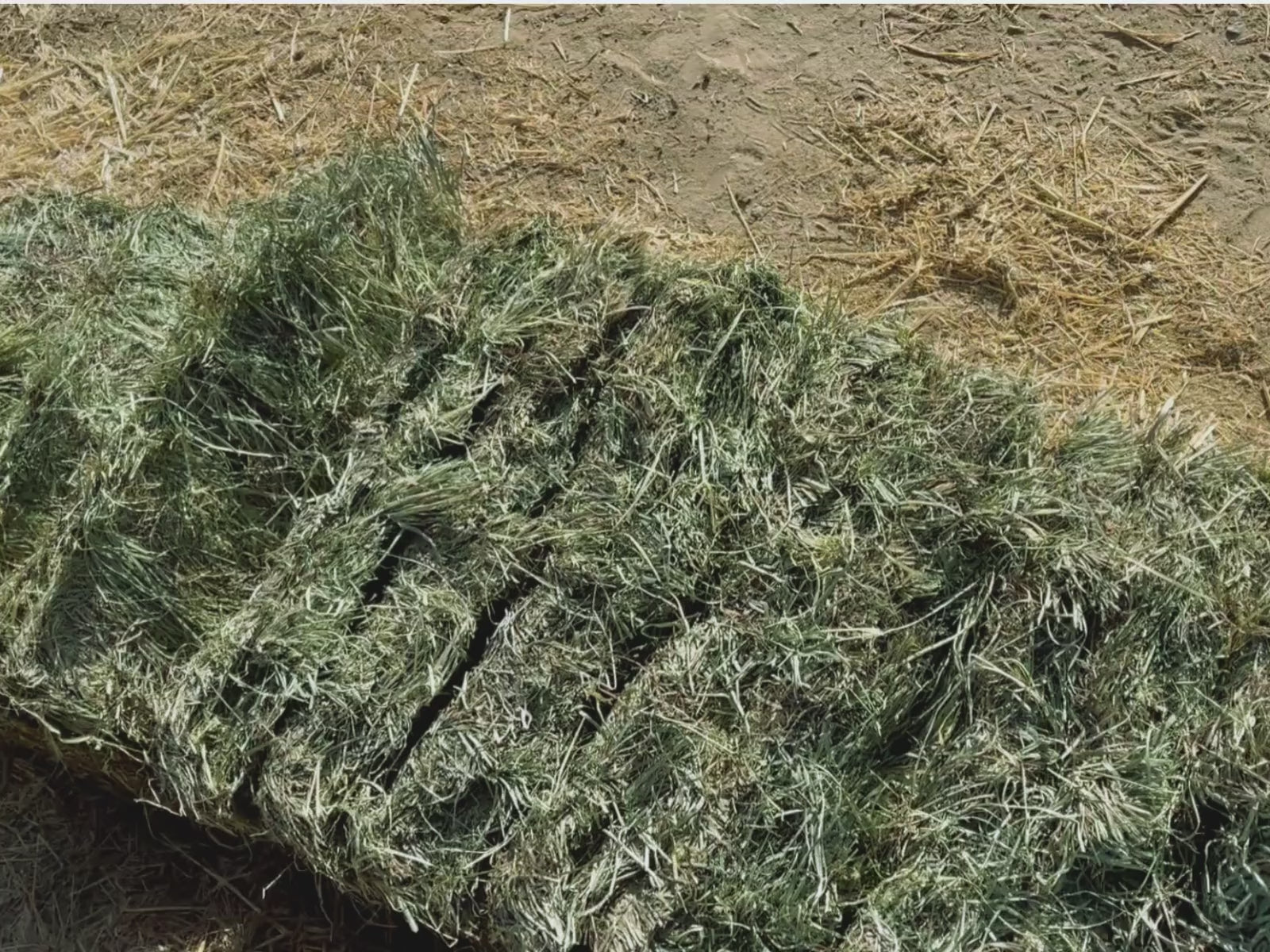 Load video: Orchard Hay